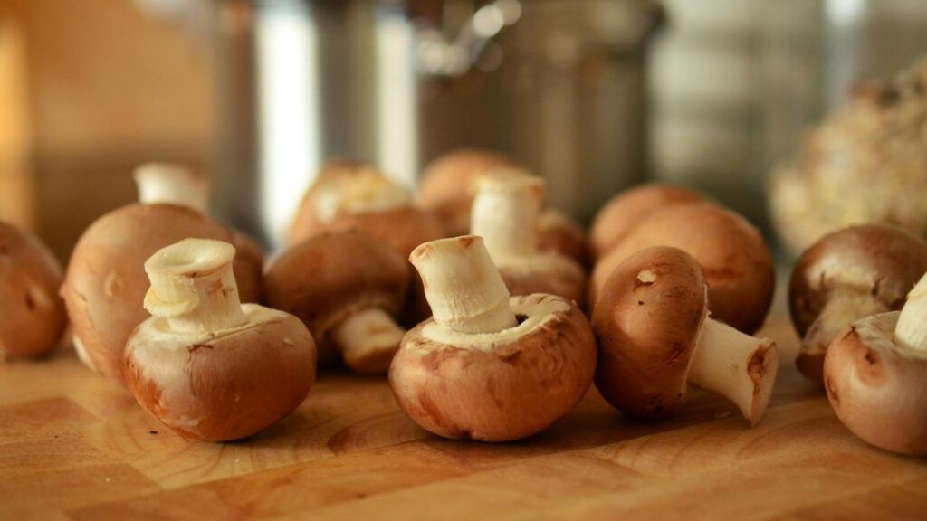 Portobello (Agaricus bisporus)
