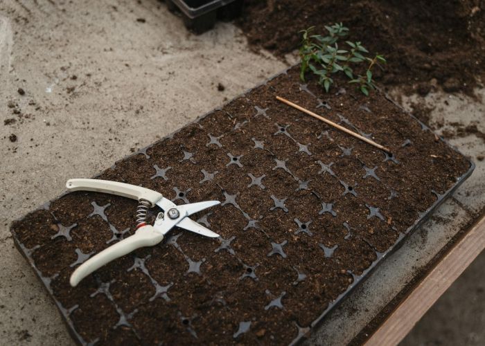 Convierte tu balcón o jardín en un huerto en casa y disfruta del placer de cultivar tus propios alimentos.