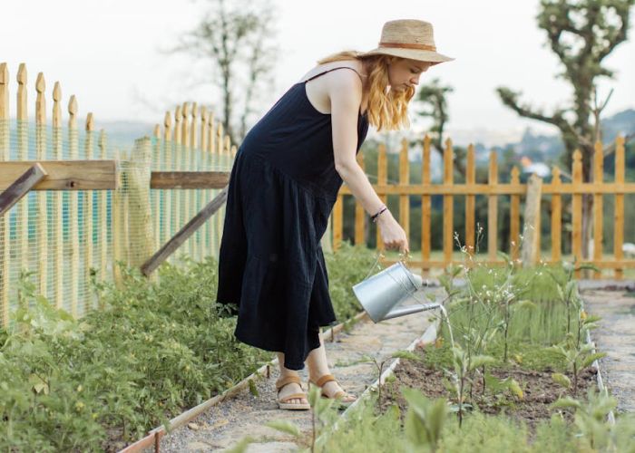 Guía esencial para crear tu huerto en casa: consejos para aprovechar macetas, terrazas y jardines pequeños.