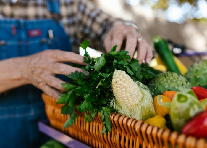 Transforma tu hogar en un oasis verde con un huerto en casa. Cultiva alimentos frescos y saludables fácilmente.
