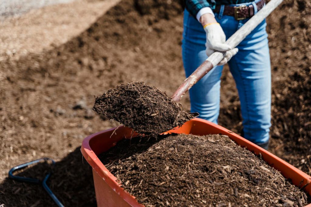 La elección del abono adecuado es crucial para el desarrollo óptimo de cada tipo de planta.