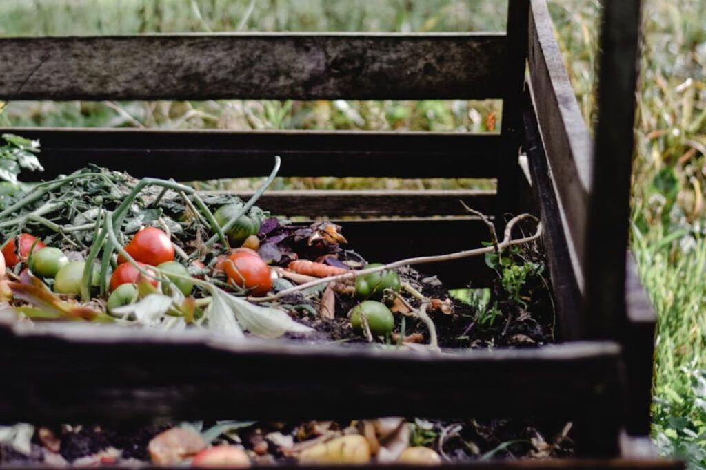 El compost es un abono natural que se obtiene a partir de la descomposición de materia orgánica, como restos de frutas y verduras, hojas secas y recortes de césped.