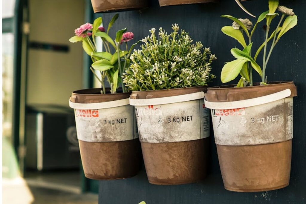 El cultivo de hierbas aromáticas como plantas de interior es una opción ideal para quienes desean disfrutar de frescura y sabor en su cocina, sin necesidad de tener un gran espacio exterior.