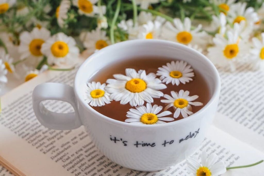 Las infusiones son una forma excelente de disfrutar de las propiedades y sabores de las hierbas aromáticas. 