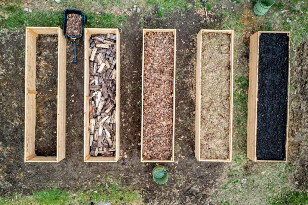 Los nutrientes son componentes fundamentales que favorecen el crecimiento y desarrollo saludable de las plantas.