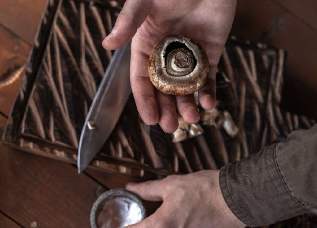 Recetas con setas comestibles
