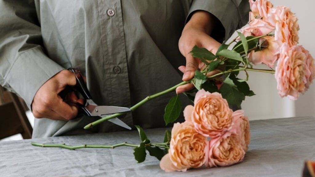 Cultivo de rosas en casa