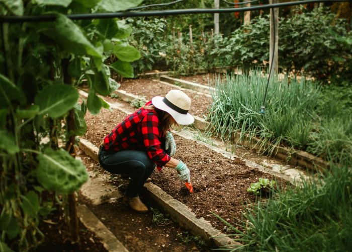 La permacultura es un enfoque sostenible que busca crear sistemas agrícolas y sociales en armonía con la naturaleza.
