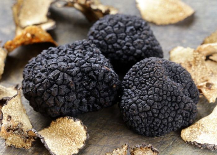 La trufa negra, también conocida como Tuber melanosporum, es un hongo subterráneo muy valorado en la gastronomía.