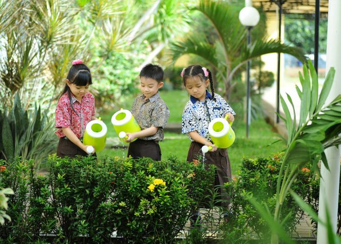 Proyecto de huerto escolar: aprendiendo sobre la naturaleza
