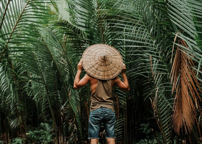 Qué es la Agroforestería o Sistemas Agroforestales (SAF)