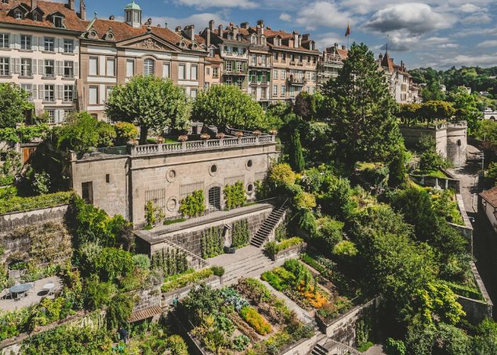 Los bosques de alimentos urbanos son ecosistemas que combinan árboles frutales, arbustos y plantas herbáceas en entornos urbanos. Este modelo busca crear espacios productivos y sostenibles, imitando los ecosistemas forestales naturales.