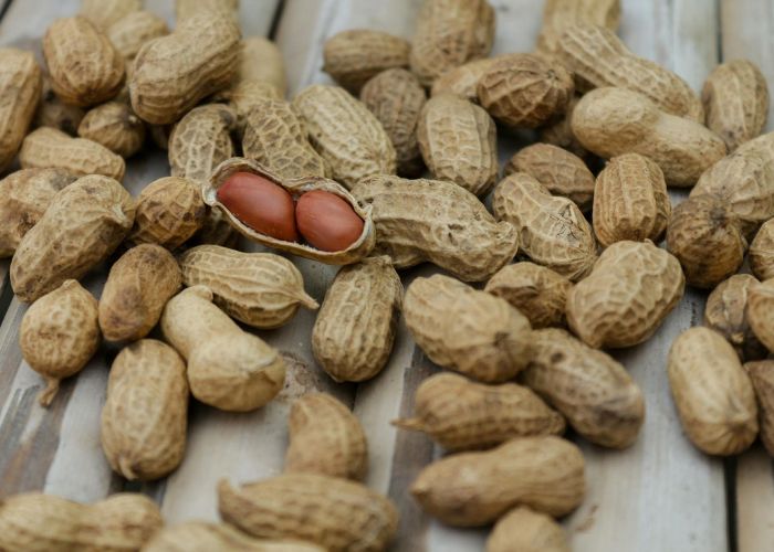 El cultivo de cacahuetes es una práctica agrícola que ha ganado popularidad en diversas regiones del mundo.