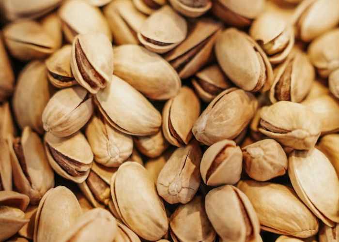 El cultivo de pistachos se ha vuelto cada vez más relevante en España, debido a su alta rentabilidad y adaptabilidad a diversas regiones.