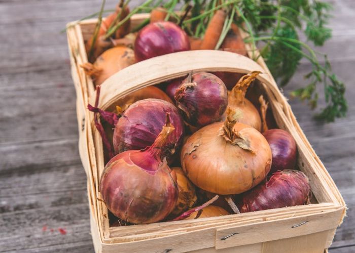 La cebolla es un cultivo esencial en la cocina española y su cultivo puede ser sencillo con los cuidados adecuados. Conocer las variedades disponibles y el momento óptimo para plantarlas es fundamental para obtener buenos resultados.