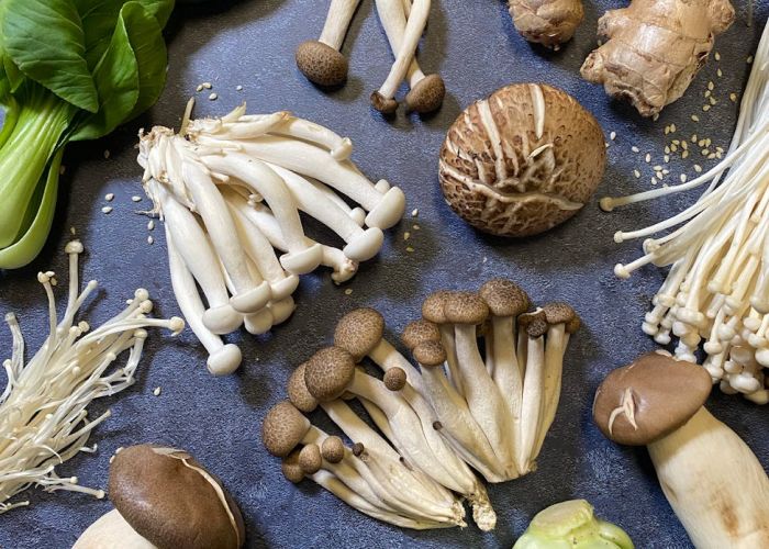 Existen diversas variedades disponibles que se utilizan en distintas recetas. Su sabor umami y textura crujiente las convierten en un ingrediente valorado en la cocina.