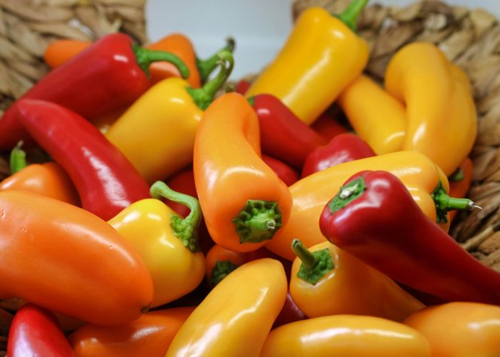 Con técnicas de siembra y cuidado apropiadas, se pueden obtener cosechas abundantes y saludables.