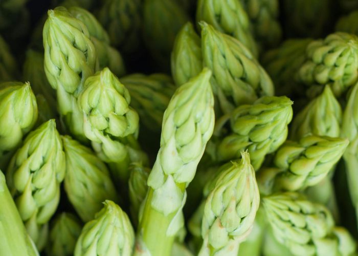 El cultivo de espárragos en el huerto es una actividad gratificante y provechosa. Esta hortaliza, rica en nutrientes, ofrece numerosos beneficios para la salud y es relativamente fácil de cultivar.