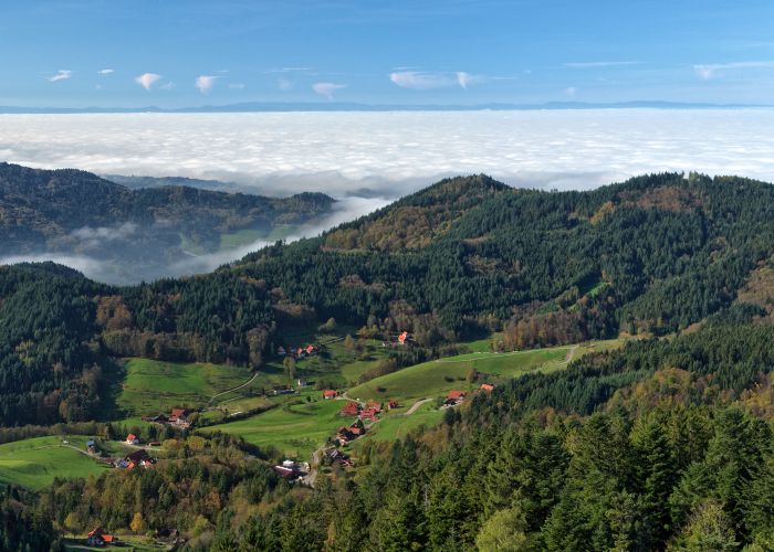 La Selva Negra, situada en el suroeste de Alemania, es una región montañosa conocida por su belleza natural y su rica tradición cultural.