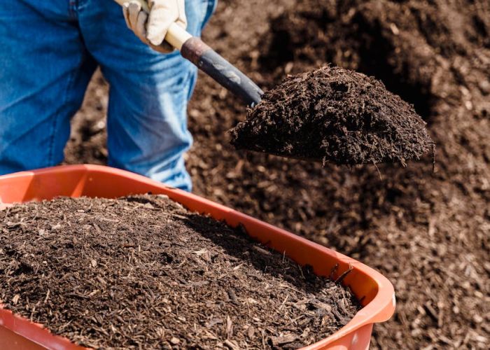 Cobertura del suelo: técnicas naturales para un jardín sostenible