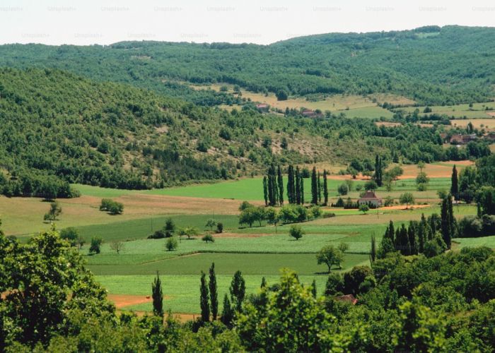La agricultura regenerativa y la agricultura sintrópica emergen como metodologías que buscan mejorar la sostenibilidad y la salud de los ecosistemas agrícolas.