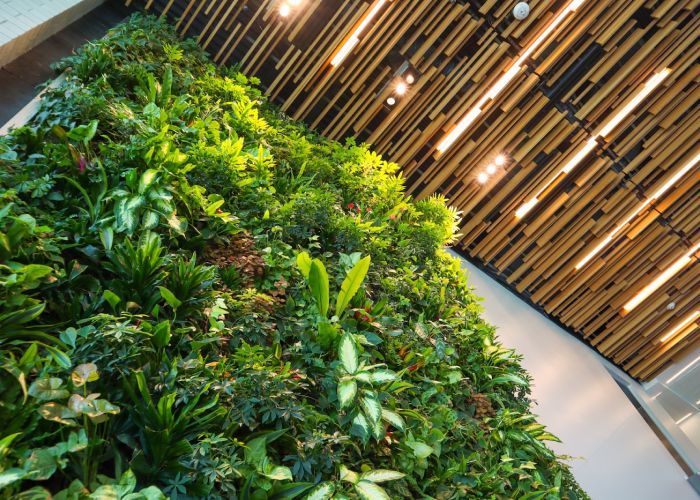 Los huertos verticales se han convertido en una alternativa práctica para cultivar plantas en entornos urbanos.