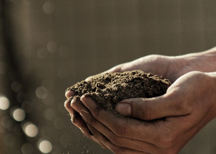 Desde la aplicación de enmiendas orgánicas hasta métodos innovadores como los tecnosoils, estas prácticas son cruciales para revitalizar el suelo y promover un equilibrio con el medio ambiente.